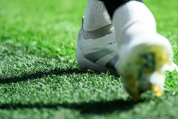 COLOGNE, GERMANY - 20 HAZİRAN, 2025: Adidas Predator Elit Firması Yer Botları - Rhein Energie Stadion.