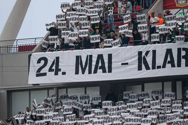 LEVERKUSEN, GERMANY - 21 MAYIS 2023: Fans Moenchengladbach - Bundesliga maçı Bayer 04 Leverkusen ile Borussia Moenchengladbach Bayena 'da.