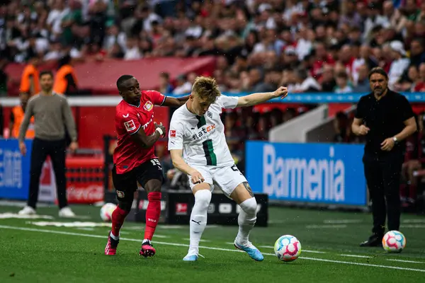 LEVERKUSEN, GERMANY - 21 MAYIS 2023: Luca Netz, Moussa Diaby - Bayer 04 Leverkusen, Borussia Moenchengladbach 'a karşı.