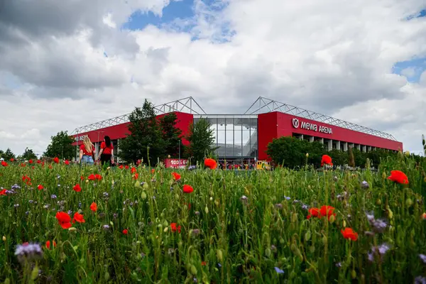 MAINZ, ALMANY - 17 MAYIS, 2025: 1 'in ana stadyumu olan Mewa ArENA' nın genel manzarası. FSV Mainz 05, renkli çiçek tarlalarının arkasında görüldü. Bundesliga eşleşmesi öncesinde manzaralı atmosfer oluşturuluyor.
