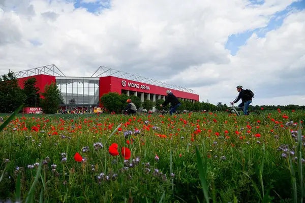 MAINZ, GERMANY - 17 Mayıs 2025: Bir adam MeWA ArENA 'nın önündeki çiçek açan kır çiçeği tarlasının önünden bisikletle geçiyor, renkli çiçek açan kır çiçekleri tarlasının arkasında görülüyor. Bundesliga eşleşmesi öncesinde manzaralı atmosfer oluşturuluyor.