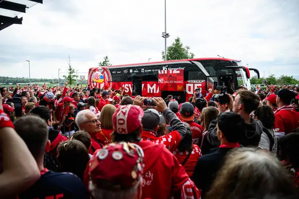 MAINZ, ALMANY - 17 MAYIS, 2025: 1 destekçileri. FSV Mainz 05, ekip otobüsüne hoş geldiniz. Kırmızı giyinmiş hayranlar, ellerinde eşarplar ve telefonlar, maç öncesi atmosfer. Maç Mewa Arena 'da Bayer 04' e karşı.