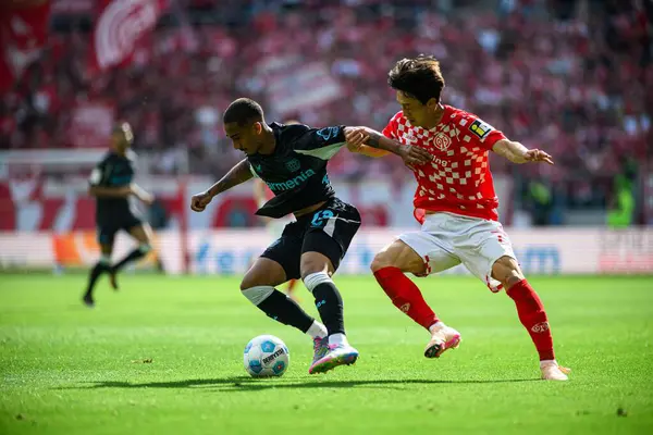 MAINZ, GERMANY - 17 Mayıs 2025: Arthur, Jae-sung Lee - Bundesliga maçı 1.FSV Mainz 05 - Bayer 04 Leverkusen maçı Mewa Arena 'da.