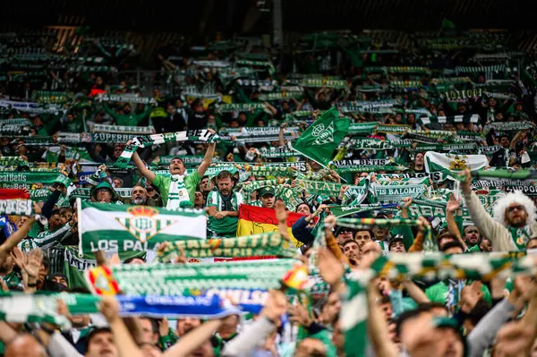 WROCLAW, POLAND - 28 Mayıs 2025: Wroclaw Stadyumu 'nda taraftarlar, taraftarlar, eşarplar, Betis - UEFA Avrupa Konferans Ligi Real Betis Chelsea FC' ye karşı.