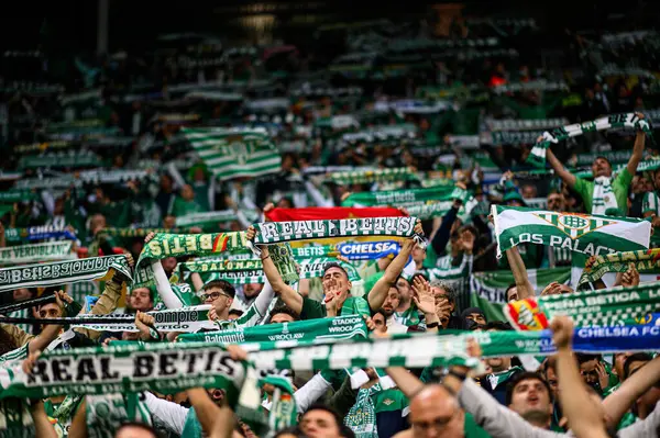 WROCLAW, POLAND - 28 Mayıs 2025: Wroclaw Stadyumu 'nda taraftarlar, taraftarlar, eşarplar, Betis - UEFA Avrupa Konferans Ligi Real Betis Chelsea FC' ye karşı.
