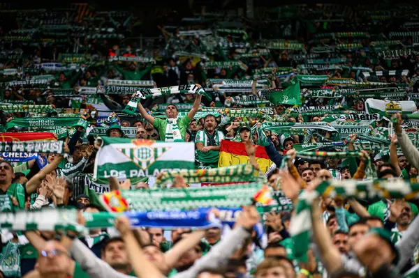 WROCLAW, POLAND - 28 Mayıs 2025: Wroclaw Stadyumu 'nda taraftarlar, taraftarlar, eşarplar, Betis - UEFA Avrupa Konferans Ligi Real Betis Chelsea FC' ye karşı.