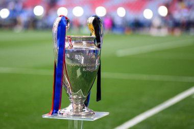 DUESSELDORF, GERMANY - 31 Mayıs 2025: UEFA Şampiyonlar Ligi kupası, Paris Saint-Germain FC ile Inter Milan arasında Allianz Arena 'da oynanan final maçı öncesinde sahada sergilendi.