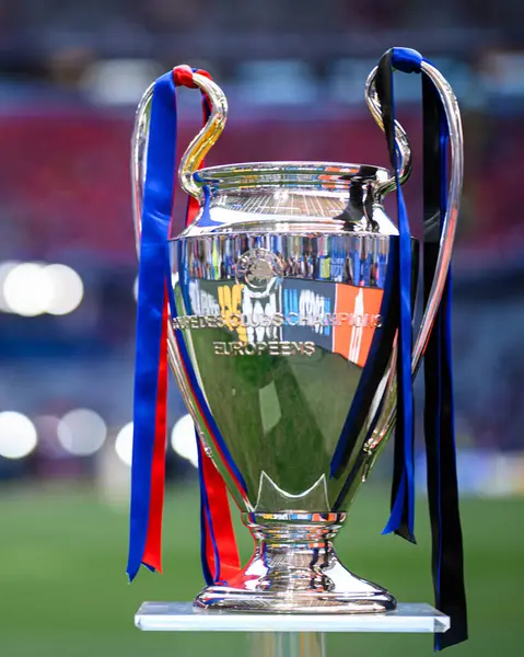 DUESSELDORF, GERMANY - 31 Mayıs 2025: UEFA Şampiyonlar Ligi kupası, Paris Saint-Germain FC ile Inter Milan arasında Allianz Arena 'da oynanan final maçı öncesinde sahada sergilendi.