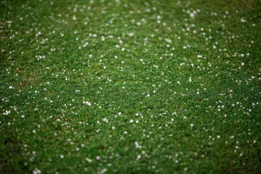 MUNICH, GERMANY - 4 Haziran 2025: dolu üstüne dolu - UEFA Milletler Ligi 2025 Almanya - Allianz Arena 'da Portekiz -. 