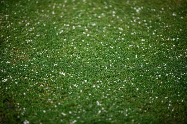 MUNICH, GERMANY - 4 Haziran 2025: dolu üstüne dolu - UEFA Milletler Ligi 2025 Almanya - Allianz Arena 'da Portekiz -. 