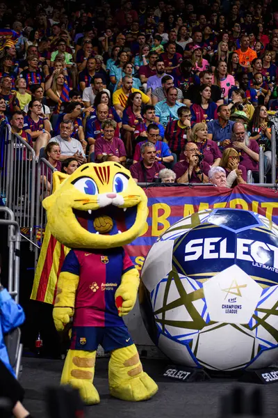 COLOGNE, GERMANY - 14 Haziran 2025: Kedi, maskot - Kamyon İzcisi 24 EHF FINAL4 Barca-SC Magdeburg maçı Lanxess Arena 'da.