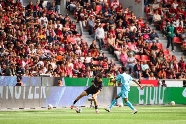 LEVERKUSEN, GERMANY - 23 AUGust, 2025: İbrahim Maza, Bernardo - Bundesliga FC Bayer 04 Leverkusen maçı Bayena 'da TSG 1899 Hoffenheim' a karşı. 