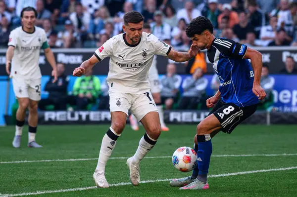 MOENCHENGLADBACH, GERMANY - 24 AĞUSTOS, 2025: Kevin Stoger, Daniel Elfadli - Bundesliga Borussia Moenchengladbach - Borussia Park 'ta Hamburger SV.