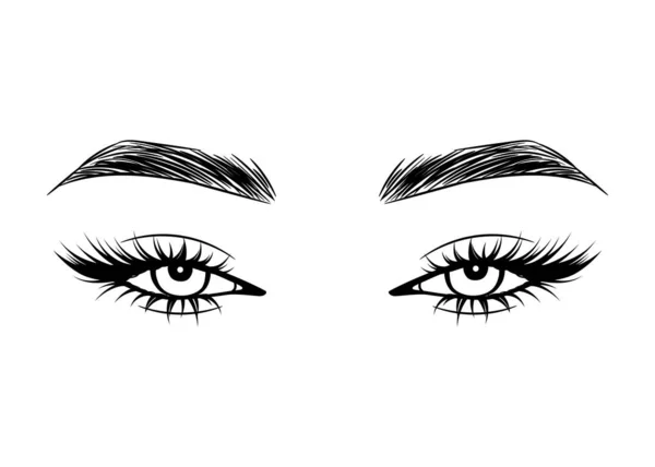 Vector Hand Drawn Beautiful Female Eyes Long Black Eyelashes Brows — Stock Vector