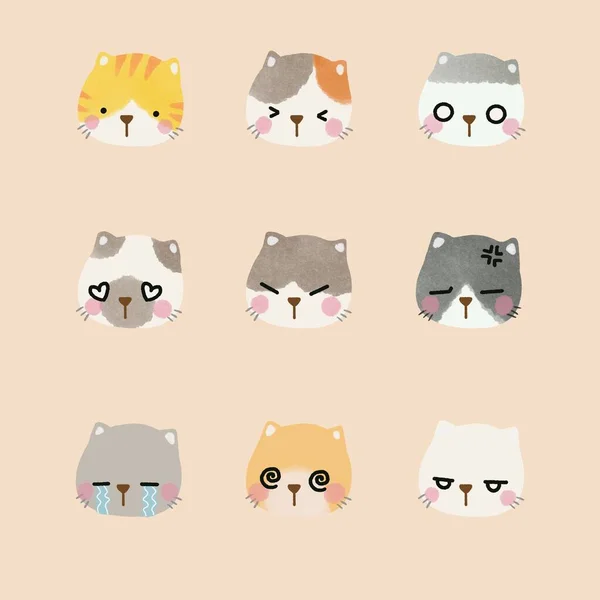 Various Cats Face Expression Background You Can Enjoy Little Cats — Stock Photo, Image
