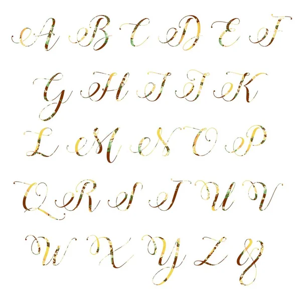 Zestaw Liter Alfabet Kaligraficzny Wektor — Zdjęcie stockowe