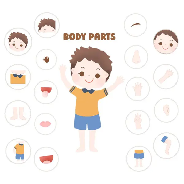 body parts of little boy body.