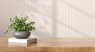 Boş kahverengi ahşap tezgah masası, kitap, yumuşak güneş ışığında vazoda yeşil ağaç, lüks organik kozmetik, cilt ürünleri için bej desenli duvar kağıdı duvar gölgesi, 3 boyutlu güzellik ürünleri arka planı.