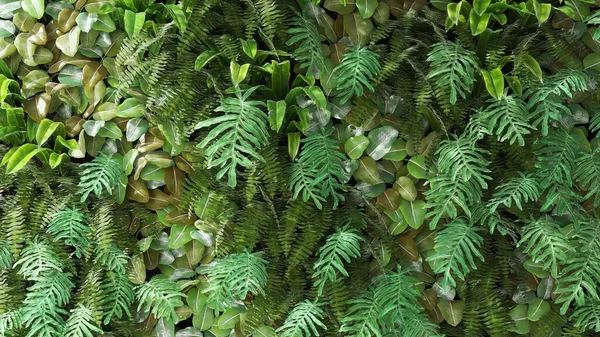 垂直庭の装飾壁 自然林 有機植物園の背景3Dのための太陽光の熱帯の植物の木の美しい緑の新鮮な熱帯緑の緑の葉のバラエティ — ストック写真
