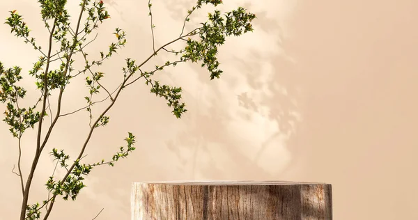 Minimaler Natürlicher Holzpodiumstisch Tropischer Baum Geflecktem Sonnenlicht Blattschatten Brauner Wand — Stockfoto