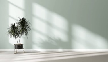 Boş pastel nane rengi turkuaz mavi duvar, yeşil tropikal drakena ağacı tencerede çelik tezgah üzerinde gri halı zemininde iç dekorasyon için güneş ışığı, ev aletleri ürünü arka planı 3D