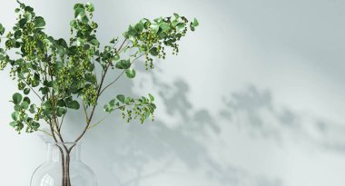 Çin tallow ağacı buketi yuvarlak cam vazoda benekli güneş ışığında, boş pastel turkuvaz üzerinde yaprak gölgesi modern dekorasyon için mavi duvar, lüks kozmetik, cilt bakımı, 3 boyutlu güzellik ürünü arka plan