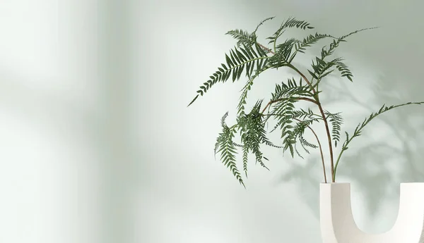 Tropischer Farnbaum Weißer Keramikvase Sonnenlicht Blattschatten Auf Pastellfarbener Türkisblauer Grüner — Stockfoto
