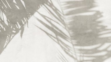 Gri cilalı beton duvar dokusu, güzel güneş ışığı, tropik palmiye yaprağı yaprağı gölgesi. Lüks güzellik, moda, kozmetik, cilt bakımı, iç tasarım dekorasyon malzemesi arka plan 3 boyutlu