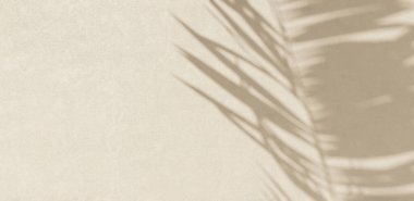 Alçı bej rengi beton duvar, güzel güneş ışığı, tropik palmiye yaprağı yaprağı gölgesi. Lüks güzellik, moda, kozmetik, cilt bakımı, iç tasarım dekorasyon malzemesi arka plan 3 boyutlu