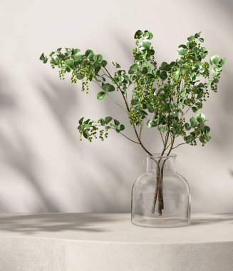 Boş bej rengi beton desen tezgah podyumu, cam vazoda ağaç dalı buketi güneş ışığında, beyaz duvarda organik kozmetik, cilt bakımı için yaprak gölgesi, 3 boyutlu güzellik ürünleri arka planı.