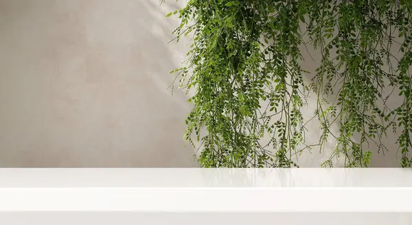 Luxus Glänzend Leerer Weißer Marmorsteintisch Laub Tropischer Hängender Baumzweige Sonnenlicht Stockbild