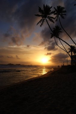 Sahilde gün batımı