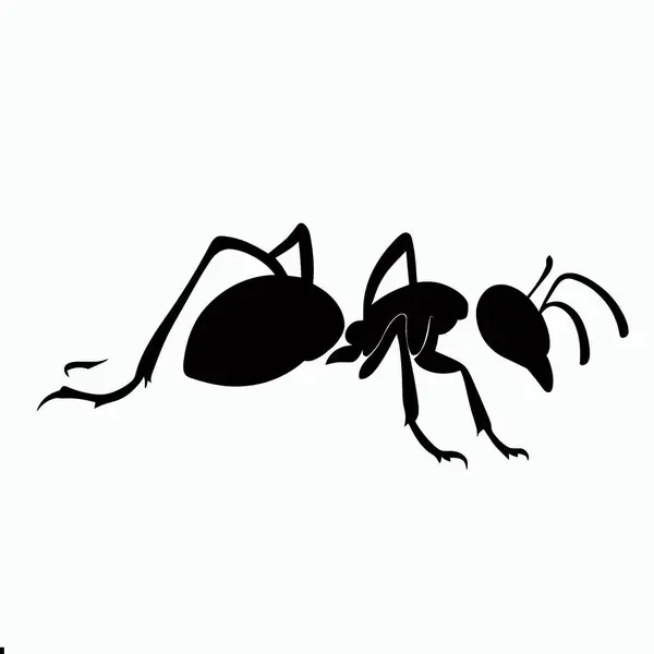 Ameisenvektor Vektorbild Der Ameise Schwarzweißes Farbthema — Stockvektor