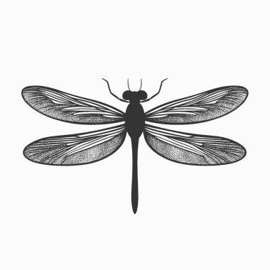 Dragonfly düz vektör simgesi, Grafikler için Chic Monochrome Vektör Silueti.