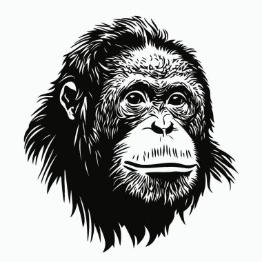 Orangutan düz vektör simgesi, Zarif Siyah ve Beyaz Siluet Düz Simge.