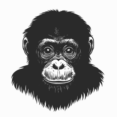 Bornean Orang utan düz vektör simgesi, Grafikler için Chic Monochrome Vektör Silueti.