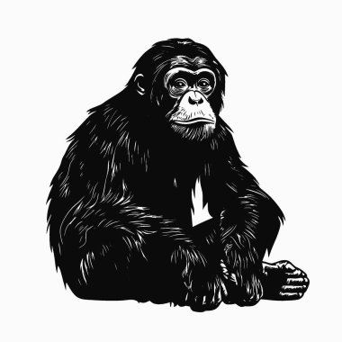 Bornean Orang utan düz vektör simgesi, Grafikler için Chic Monochrome Vektör Silueti.