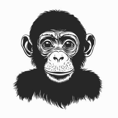 Projeler için Bonobo düz vektör simgesi, Çok Yönlü Siyah ve Beyaz Vektör Simgesi.
