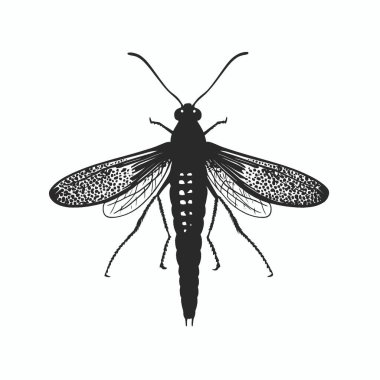 Eastern Dobsonfly silhouette,Black and White Silhouette Vector Icon for Design. clipart