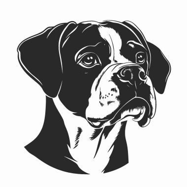 Boxer köpek düz vektör simgesi, Siyah ve Beyaz Siluet Tasarım Vektörü Simgesi.