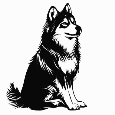 Alaska Malamute silueti, Minimalist Düz Siyah ve Beyaz Siluet Simgesi.