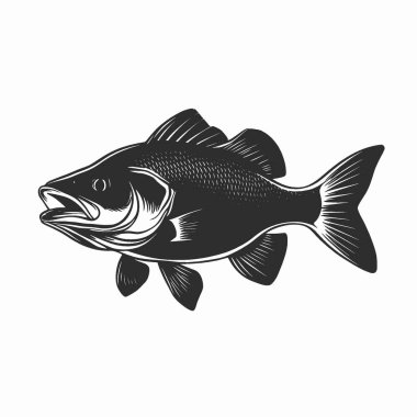 Barramundi Balık silueti, Temiz Siyah ve Beyaz Vektör Siluet Sanatı.