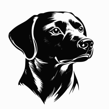 Projeler için Labrabull silueti, Çok Yönlü Siyah ve Beyaz Vektör Simgesi.