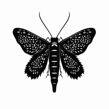 Cactus Moth silhouette,Minimalist Flat Black and White Silhouette Icon. clipart