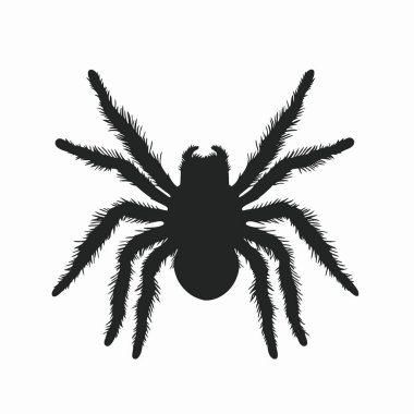 Black Tarantula silhouette,Minimalist Flat Black and White Silhouette Icon. clipart