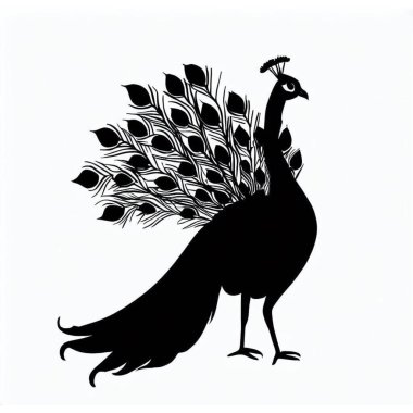 Peacock 'un Vektör Silueti, Egzotik Kuş ve Doğa Tasarımları İçin Tavuskuşu Çizimi