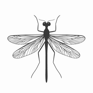 Damsel fly flat vector icon,Simple Black and White Silhouette for Branding. clipart