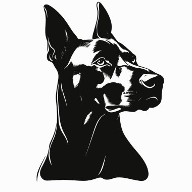 Doberman Pinscher düz vektör simgesi, Ebedi Siyah ve Beyaz Vektör Siluet Tasarımı.