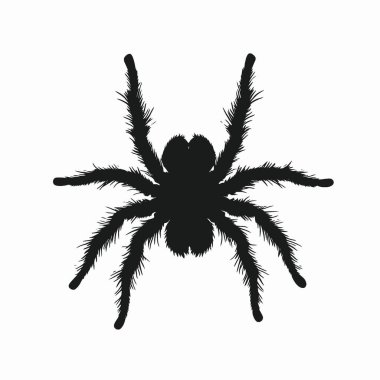 Brezilya Siyah Tarantula silueti, Projeler için Çok Yönlü Siyah ve Beyaz Vektör Simgesi.