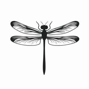 Dragonfly düz vektör simgesi, Grafikler için Chic Monochrome Vektör Silueti.